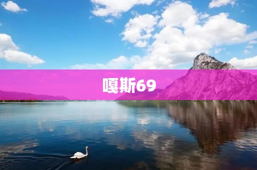 嘎斯69：一场音乐与文化的碰撞