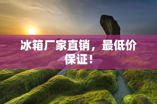 冰箱厂家直销,最低价保证! 冰箱厂家直销,最低价保证!