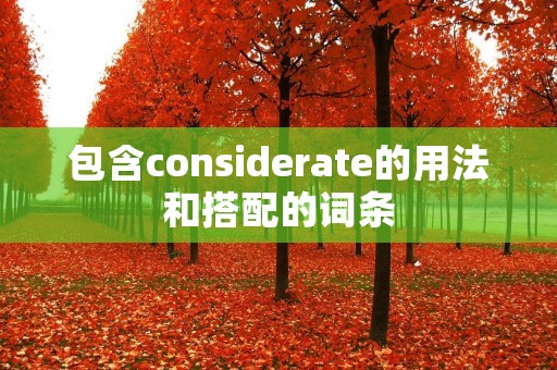 包含considerate的用法和搭配的词条