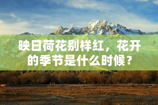 映日荷花别样红,花开的季节是什么时候?