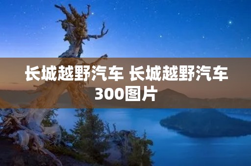 长城越野汽车 长城越野汽车300图片