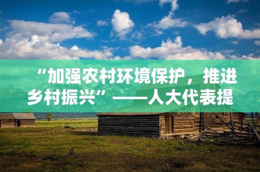 “加强农村环境保护,推进乡村振兴”——人大代表提案范文