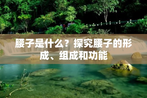 腰子是什么?探究腰子的形成、组成和功能 腰子是什么?探究腰子的形成、组成和功能