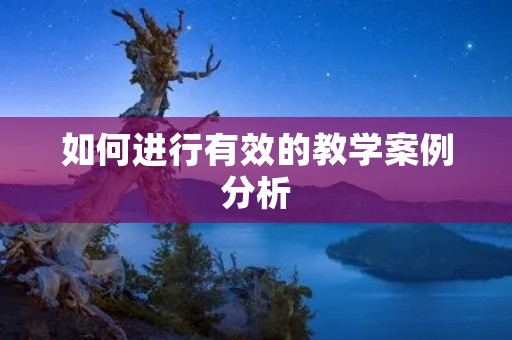 如何进行有效的教学案例分析