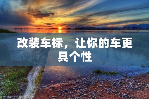 改装车标,让你的车更具个性 改装车标,让你的车更具个性