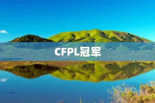 CFPL冠军：一支团队的荣耀