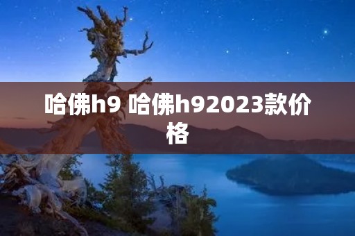 哈佛h9 哈佛h92023款价格