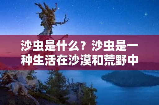 沙虫是什么?沙虫是一种生活在沙漠和荒野中的节肢动物,属于蜘蛛目中的一种。沙虫的身体长而细,呈圆柱形,由许多环节组成,每个环节都有一对足和一对呼吸器官。沙虫的头部有两只大眼睛和一对小触角,可以感知周围环境。 沙虫是什么?沙虫是一种生活在沙漠和荒野中的节肢动物,属于蜘蛛目中的一种。沙虫的身体长而细,呈圆柱形,由许多环节组成,每个环节都有一对足和一对呼吸器官。沙虫的头部有两只大眼睛和一对小触角,可以感知周围环境。