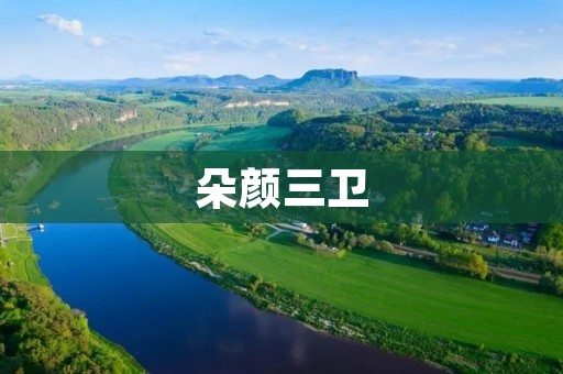 朵颜三卫:互联网时代的新型防护神器 朵颜三卫:互联网时代的新型防护神器