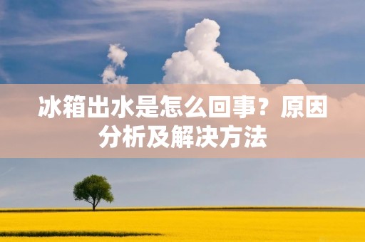 冰箱出水是怎么回事?原因分析及解决方法 冰箱出水是怎么回事?原因分析及解决方法