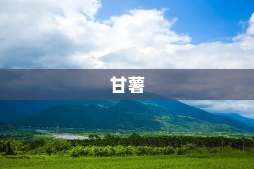 甘薯:营养丰富的健康食品 甘薯:营养丰富的健康食品