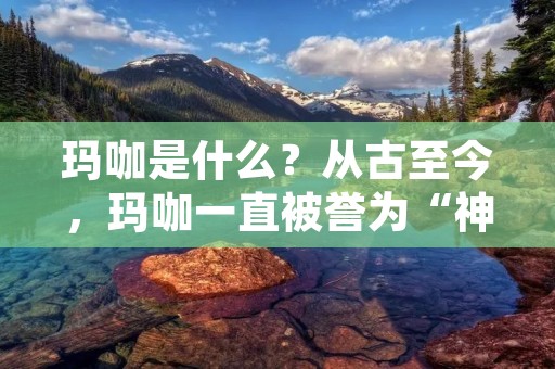 玛咖是什么?从古至今,玛咖一直被誉为“神奇植物”,是一种生长在秘鲁安第斯山脉的植物。玛咖被称为“安第斯人的能量之源”,并被认为是一种非常有营养价值的超级食品。 玛咖是什么?从古至今,玛咖一直被誉为“神奇植物”,是一种生长在秘鲁安第斯山脉的植物。玛咖被称为“安第斯人的能量之源”,并被认为是一种非常有营养价值的超级食品。