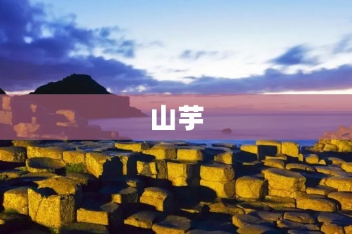 山芋:一种营养丰富的地下块茎植物 山芋:一种营养丰富的地下块茎植物