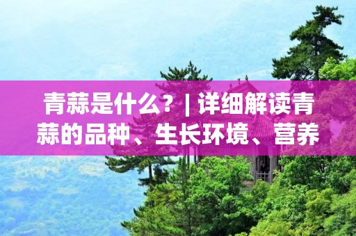 青蒜是什么?| 详细解读青蒜的品种、生长环境、营养成分及药用价值 青蒜是什么?| 详细解读青蒜的品种、生长环境、营养成分及药用价值