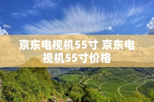 京东电视机55寸 京东电视机55寸价格 京东电视机55寸 京东电视机55寸价格