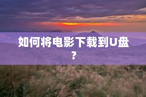 如何将电影下载到U盘？