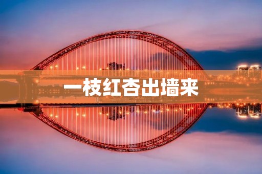 一枝红杏出墙来:探究背后的历史和文化意义