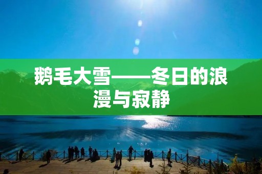 鹅毛大雪——冬日的浪漫与寂静 鹅毛大雪——冬日的浪漫与寂静