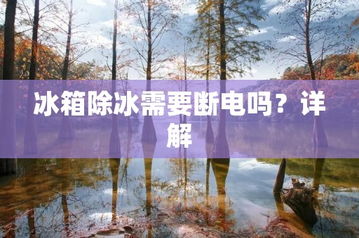 冰箱除冰需要断电吗?详解 冰箱除冰需要断电吗?详解