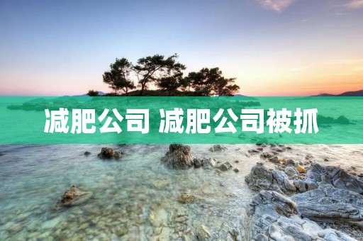 减肥公司 减肥公司被抓