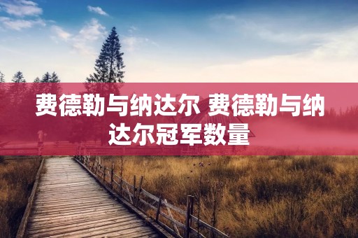 费德勒与纳达尔 费德勒与纳达尔冠军数量