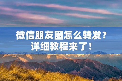 微信朋友圈怎么转发？详细教程来了！