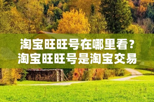淘宝旺旺号在哪里看？淘宝旺旺号是淘宝交易过程中的必要工具之一，也是买家与卖家进行沟通的重要工具。但是，有些新手买家不知道如何查看卖家的旺旺号，这就需要我们来帮助大家解决这个问题。