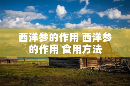 西洋参的作用 西洋参的作用 食用方法