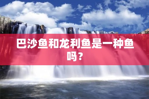 巴沙鱼和龙利鱼是一种鱼吗?