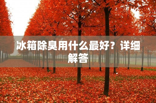 冰箱除臭用什么最好？详细解答