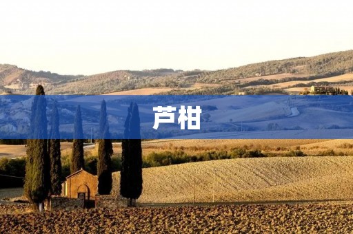 芦柑:一种来自福建的特殊柑橘 芦柑:一种来自福建的特殊柑橘