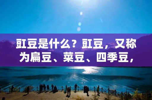 豇豆是什么?豇豆,又称为扁豆、菜豆、四季豆,是一种常见的蔬菜之一。它的形状细长,外表呈现出绿色、黄色或紫色,口感清脆,营养丰富。豇豆是一种低热量、高纤维、高蛋白、高维生素的食物,含有丰富的钾、镁、铁、锌等微量元素,对人体健康有着重要的作用。下面将从豇豆的起源、营养价值、选购与储存、烹饪方法等方面进行详细介绍。 豇豆是什么?豇豆,又称为扁豆、菜豆、四季豆,是一种常见的蔬菜之一。它的形状细长,外表呈现出绿色、黄色或紫色,口感清脆,营养丰富。豇豆是一种低热量、高纤维、高蛋白、高维生素的食物,含有丰富的钾、镁、铁、锌等微量元素,对人体健康有着重要的作用。下面将从豇豆的起源、营养价值、选购与储存、烹饪方法等方面进行详细介绍。