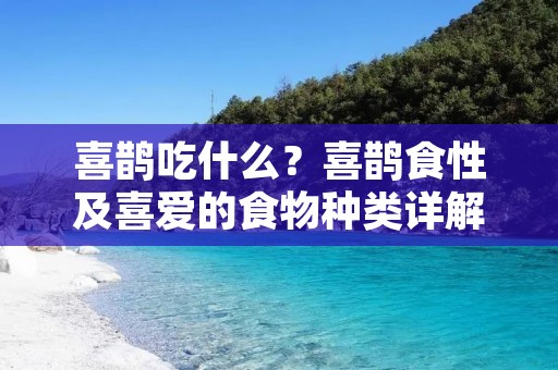 喜鹊吃什么?喜鹊食性及喜爱的食物种类详解