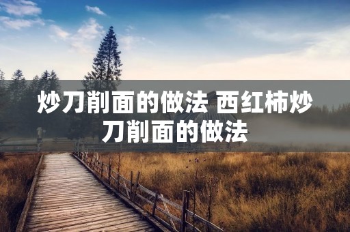 炒刀削面的做法 西红柿炒刀削面的做法 炒刀削面的做法 西红柿炒刀削面的做法