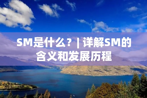 SM是什么？| 详解SM的含义和发展历程
