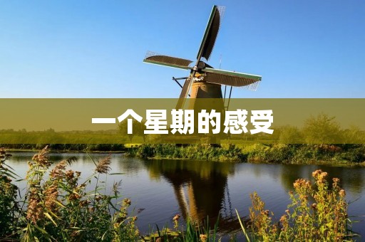 一个星期的感受
