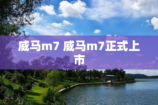 威马m7 威马m7正式上市 威马m7 威马m7正式上市