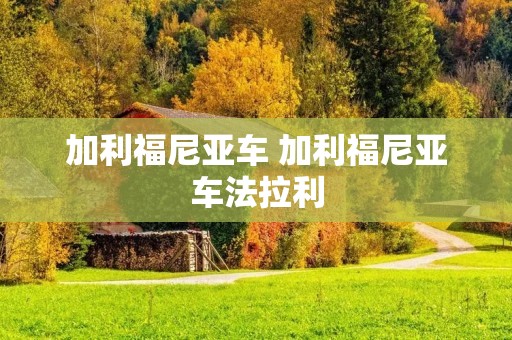 加利福尼亚车 加利福尼亚车法拉利
