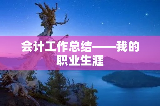 会计工作总结——我的职业生涯