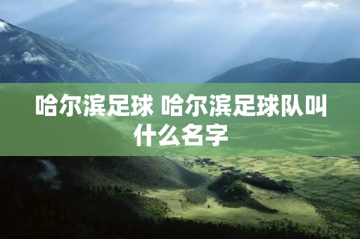 哈尔滨足球 哈尔滨足球队叫什么名字 哈尔滨足球 哈尔滨足球队叫什么名字