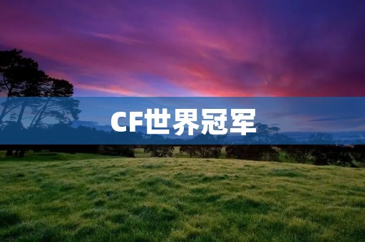 CF世界冠军:中国战队的辉煌历程 CF世界冠军:中国战队的辉煌历程
