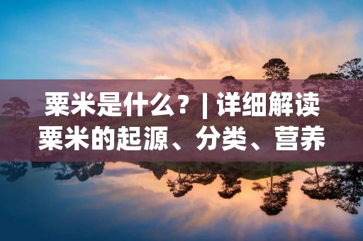 粟米是什么?| 详细解读粟米的起源、分类、营养价值和用途 粟米是什么?| 详细解读粟米的起源、分类、营养价值和用途