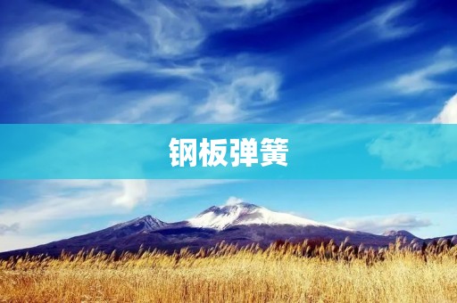 钢板弹簧:弹性元件中的重要组成部分 钢板弹簧:弹性元件中的重要组成部分