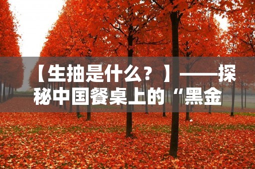 【生抽是什么?】——探秘中国餐桌上的“黑金” 【生抽是什么?】——探秘中国餐桌上的“黑金”