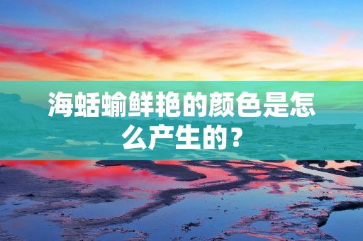 海蛞蝓鲜艳的颜色是怎么产生的?