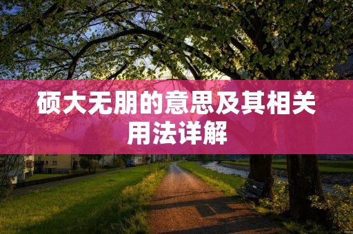 硕大无朋的意思及其相关用法详解