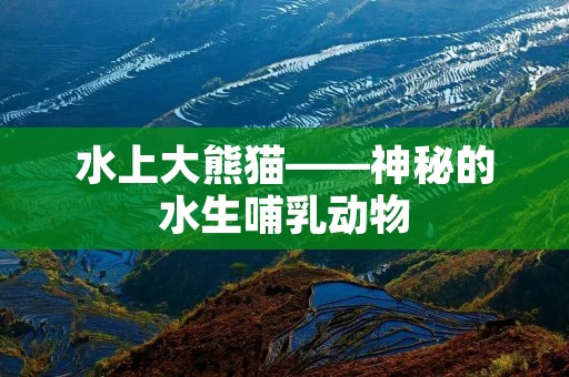 水上大熊猫——神秘的水生哺乳动物