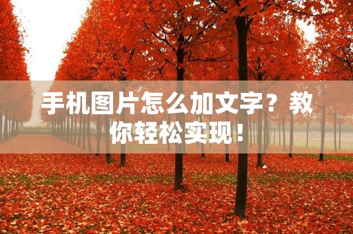 手机图片怎么加文字?教你轻松实现! 手机图片怎么加文字?教你轻松实现!