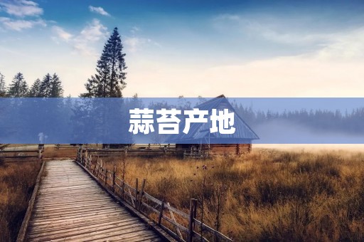 蒜苔产地:从土壤到餐桌的品质之旅