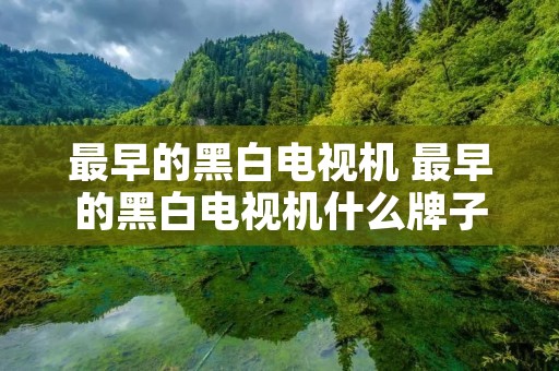 最早的黑白电视机 最早的黑白电视机什么牌子